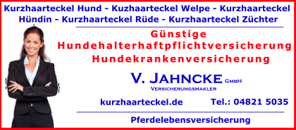 Kurzhaarteckel